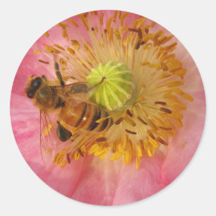 Honigbiene im Mohn Runder Aufkleber