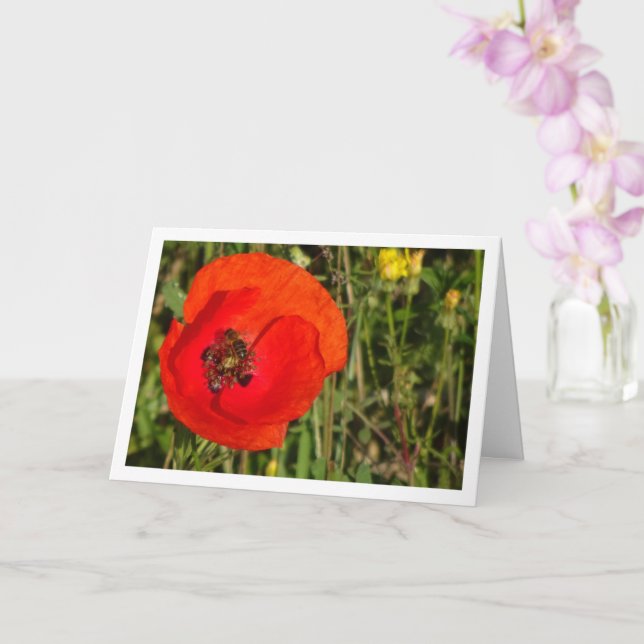 Honigbiene in Red Poppy Card Karte (Orchidee)