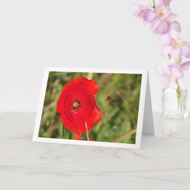 Honigbiene in Red Poppy Karte (Orchidee)