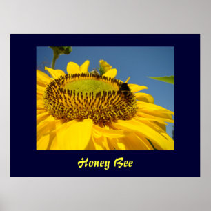 Honigbiene Kunstprint Sonnenblumen-Garten Leinwand Poster