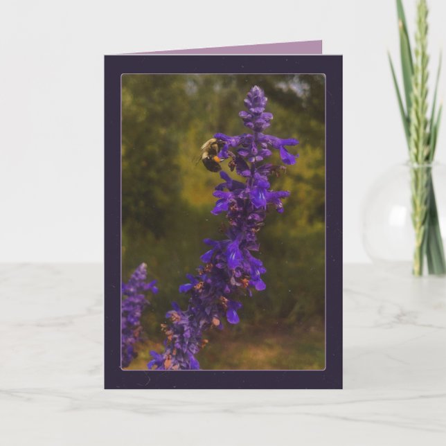 Honigbiene & Lavendel  Karte (Vorderseite)