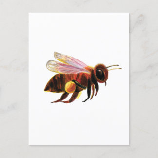 Honigbiene mit ihren Pollenkörben Postkarte