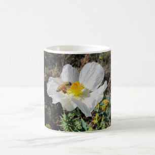 Honigbiene mit stacheliger Mohnblume Kaffeetasse