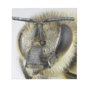 Honigbiene Notizblock