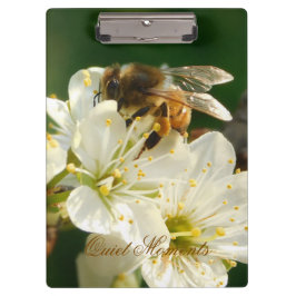 Honigbiene Pflaumenblüte Naturstudien Klemmbrett