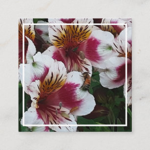 Honigbiene und Alstromerias-Abschlusskarte Begleitkarte