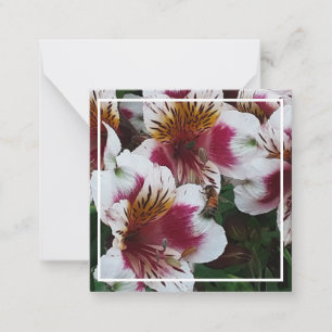 Honigbiene und Alstromerias Mitteilungskarte