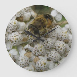 Honigbiene und Blume Uhr