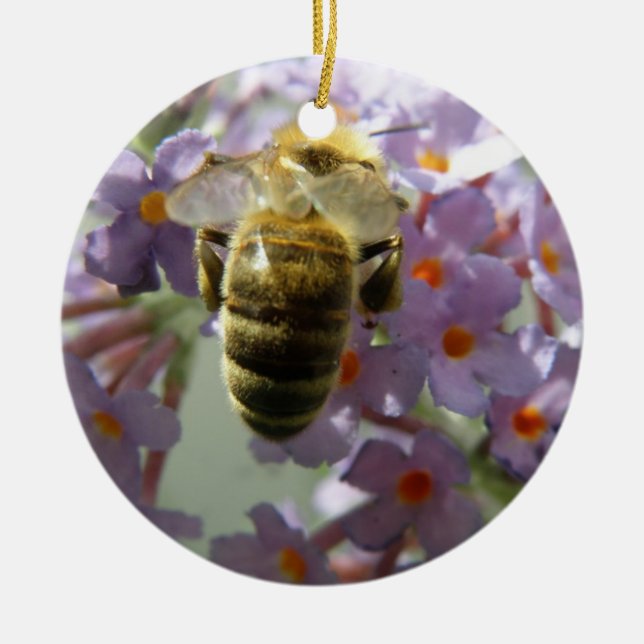 Honigbiene und Buddleia Blume Ornament (Vorne)