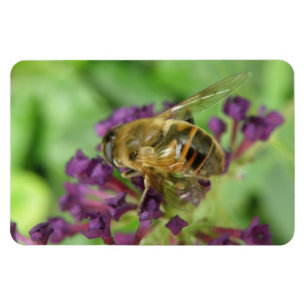 Honigbiene und Purple Flowers Flexi Magnet
