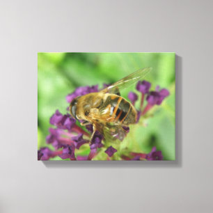 Honigbiene und violette Blumen Canvas drucken Leinwanddruck
