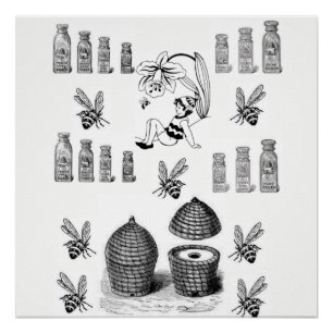 Honigbiene-weißes schwarzes Poster