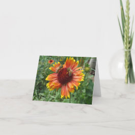 Honigbienen auf Blanket-Blume Karte