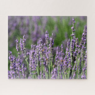 Honigbienen auf Lavendel-Blume Puzzle