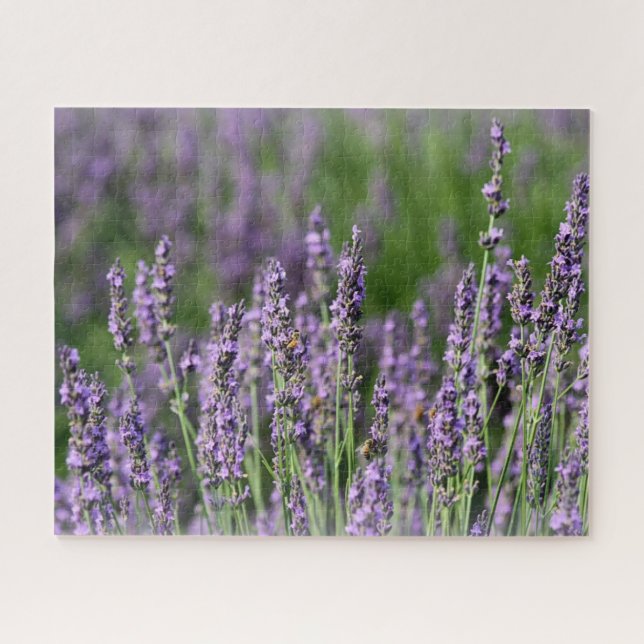 Honigbienen auf Lavendel-Blume Puzzle (Horizontal)