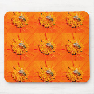 Honigbienen auf Orangenmousepad Mousepad