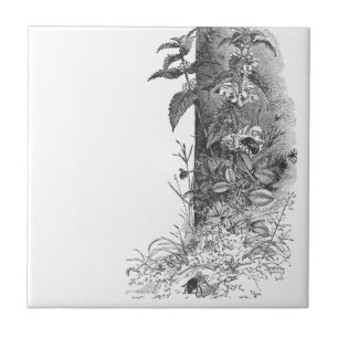 Honigbienen frequentieren blühende Minze Fliese