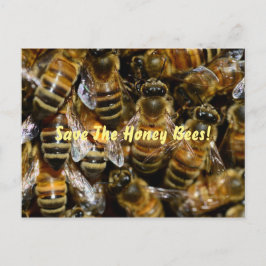 Honigbienen im Bienenstock Postkarte