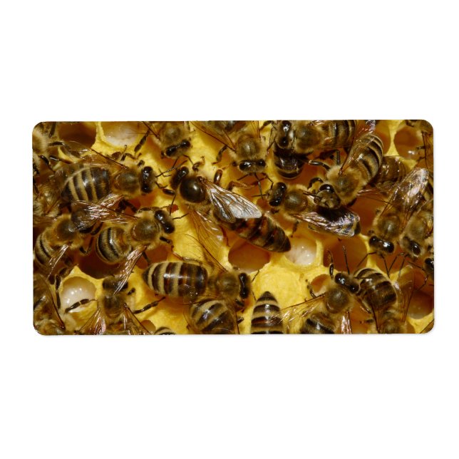 Honigbienen in Hive mit Königin in der Mitte (Vorne)