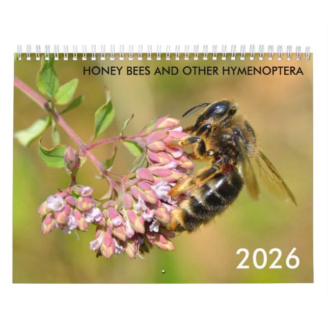 Honigbienen und andere Hymenoptera-Kalender Kalender (Titelbild)