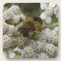 Honigbienen und Blume Cork Untersetzer