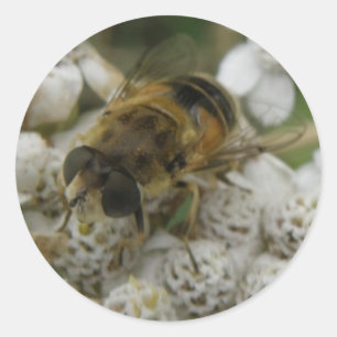Honigbienen und Blume Runder Aufkleber