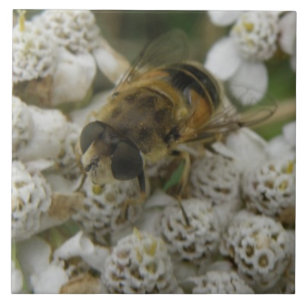 Honigbienen und Blume Tile Fliese