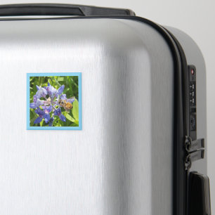 Honigbienenmagnet Magnet