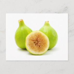 Honigfisch Postkarte