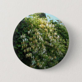Honigsauce an einer Mauer Button