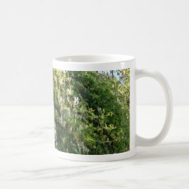 Honigsauce an einer Mauer Kaffeetasse