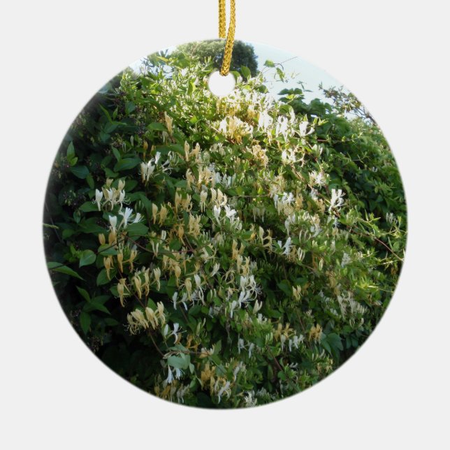 Honigsauce an einer Mauer Keramik Ornament (Vorne)