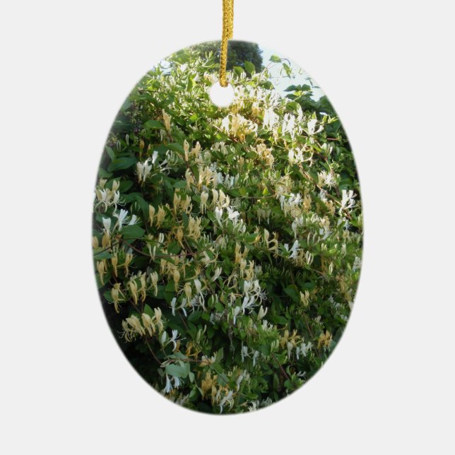 Honigsauce an einer Mauer Keramikornament (Vorne)