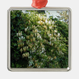 Honigsauce an einer Mauer Ornament Aus Metall