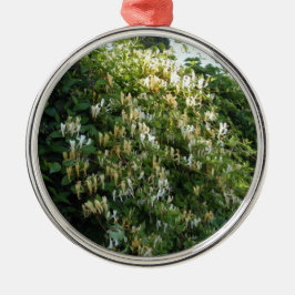 Honigsauce an einer Mauer Silbernes Ornament