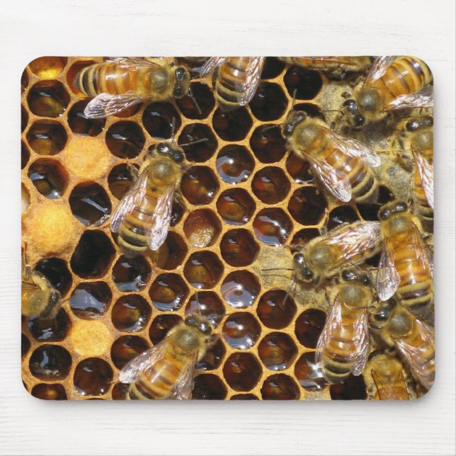 Honigwabe und Bienen-Mousepad Mousepad (Vorne)