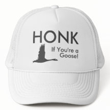 HONK, wenn Sie ein Gänsewitterchen Sprichwort Oval