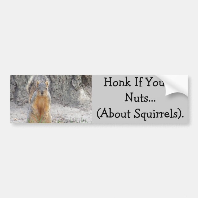 Honk, wenn Sie… über Eichhörnchen Nuts sind Autoaufkleber (Vorne)