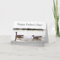 Honkers - Kanada - Gänse