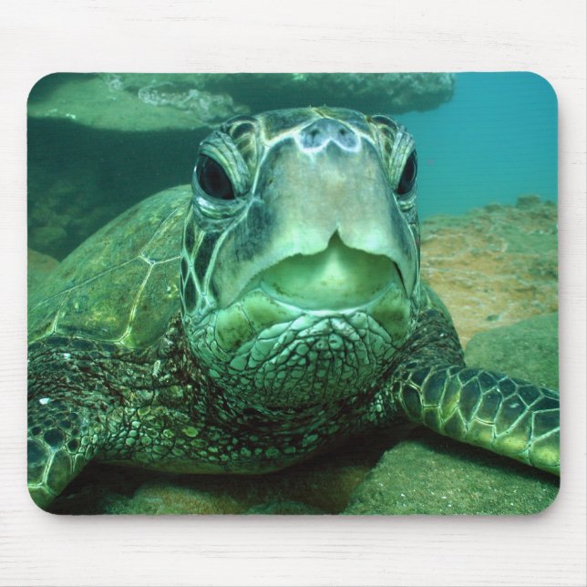 hono mousepad (Vorne)