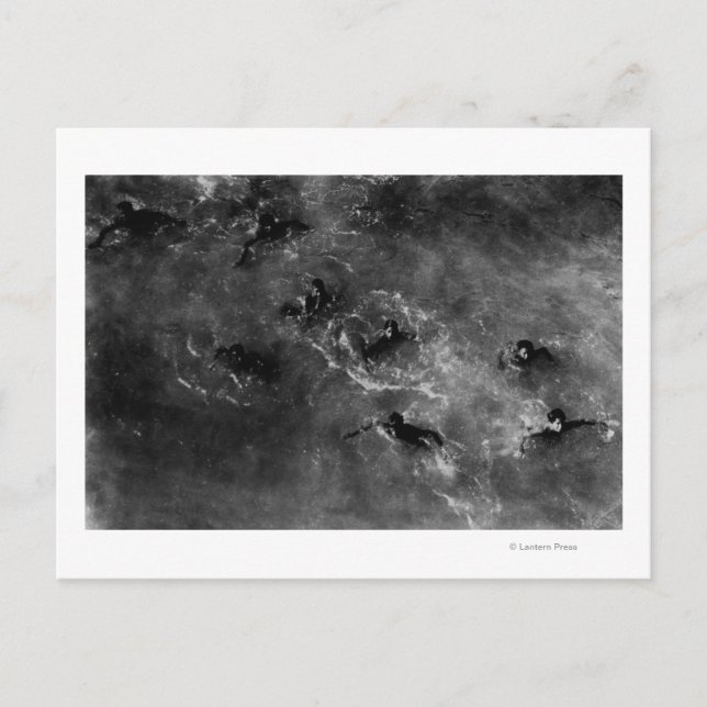 Honolulu, HA - Taucherboys in der Nähe von Honolul Postkarte (Vorderseite)