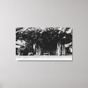 Honolulu, Hawaii - Der Wurstbaum Leinwanddruck