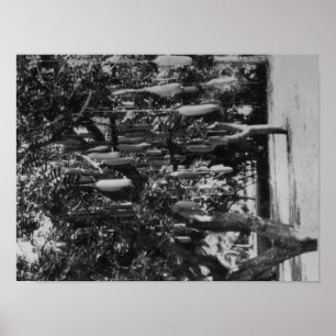 Honolulu, HI - Universität Hawaii Poster