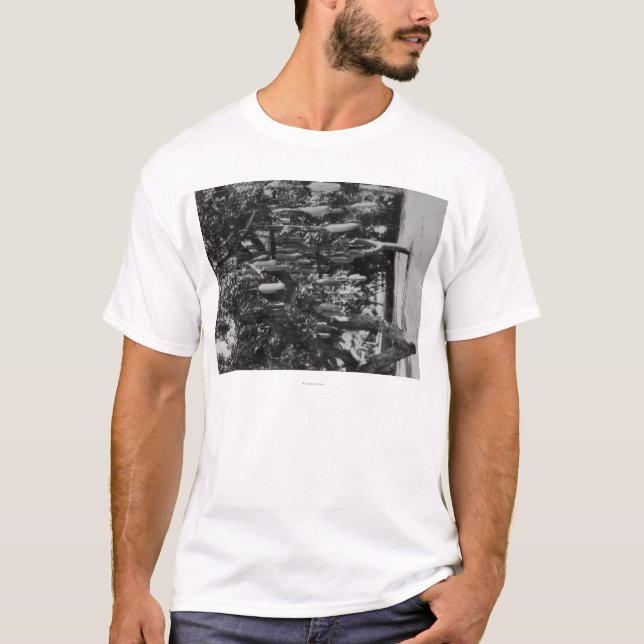 Honolulu, HI - Universität von Hawaii T-Shirt (Vorderseite)