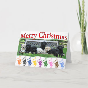 Honor Bench Weihnachten