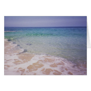 Honu am Strand von La a'Loa