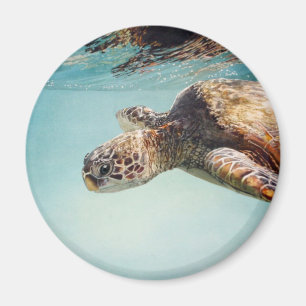 Honu durch Marilyn-Abnutzung Magnet