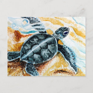 Honu Hatchling (Green Sea Turtle) Postkarte
