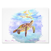 Honu, Maui Tamara..