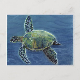 Honu Postcard Postkarte